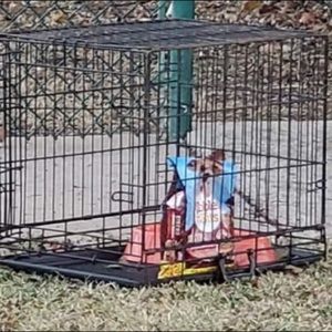 Meet your Posher, Kristen